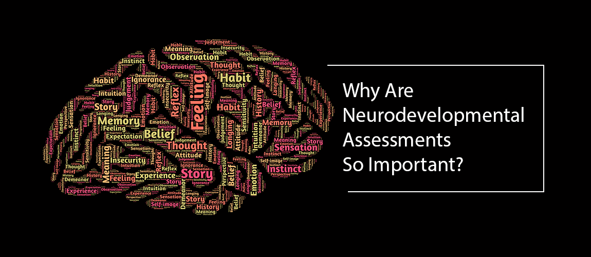 Why Are Neurodevelopmental Assessments So Important